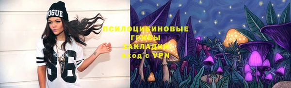 мет Абаза