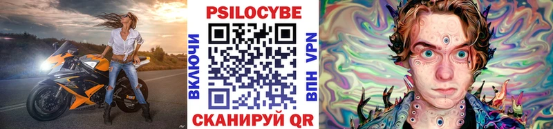 даркнет формула  Каргополь  Псилоцибиновые грибы Magic Shrooms  кракен маркетплейс 