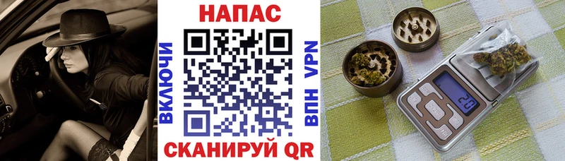 Конопля гибрид Каргополь